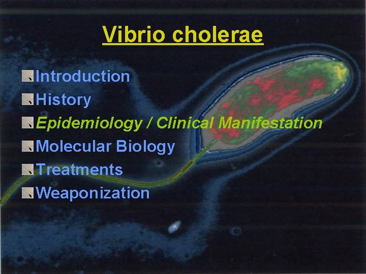 Vibrio cholerae Introduction History Epidemiology / Clinical Manifestation Molecular Biology Treatments Weaponization 