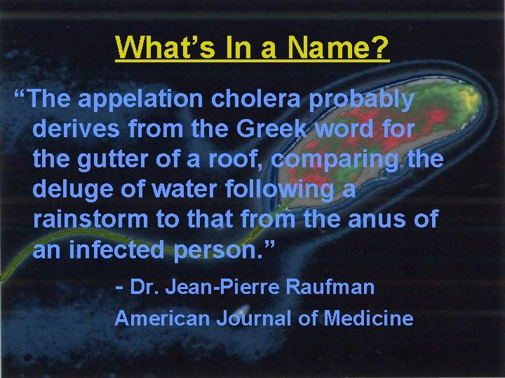 What’s In a Name? “The appelation cholera probably derives from the Greek word for