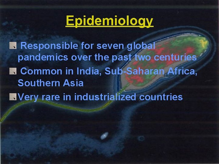Epidemiology Responsible for seven global pandemics over the past two centuries Common in India,