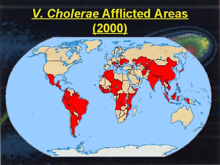 V. Cholerae Afflicted Areas (2000) 