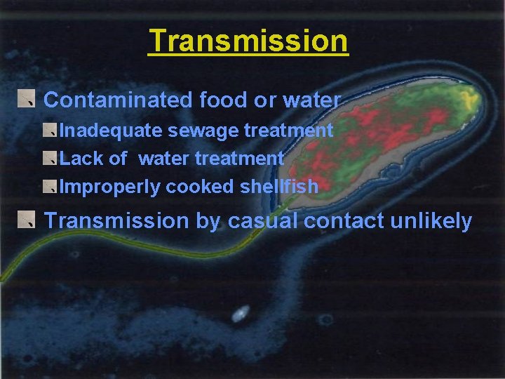 Transmission Contaminated food or water Inadequate sewage treatment Lack of water treatment Improperly cooked