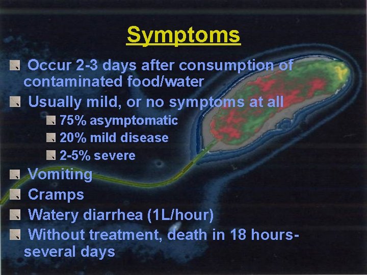 Symptoms Occur 2 -3 days after consumption of contaminated food/water Usually mild, or no
