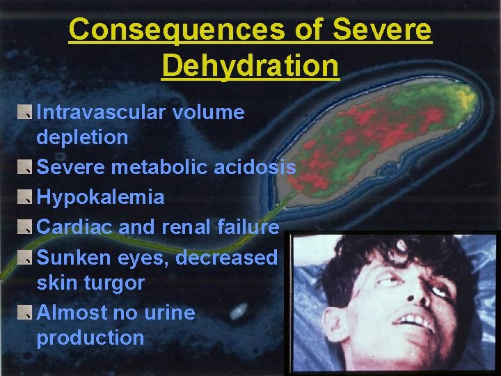 Consequences of Severe Dehydration Intravascular volume depletion Severe metabolic acidosis Hypokalemia Cardiac and renal