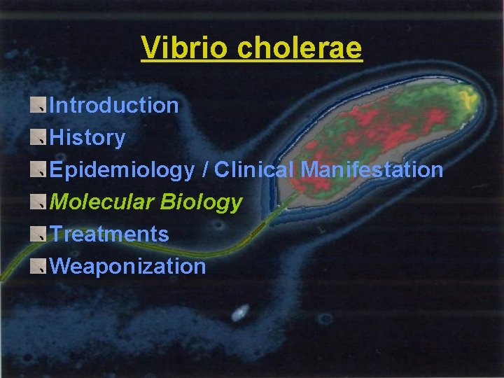 Vibrio cholerae Introduction History Epidemiology / Clinical Manifestation Molecular Biology Treatments Weaponization 
