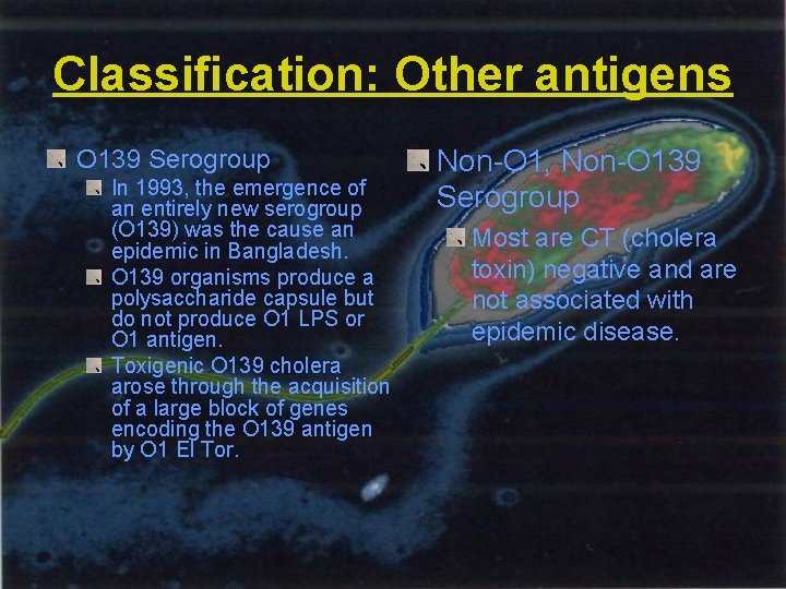 Classification: Other antigens O 139 Serogroup In 1993, the emergence of an entirely new