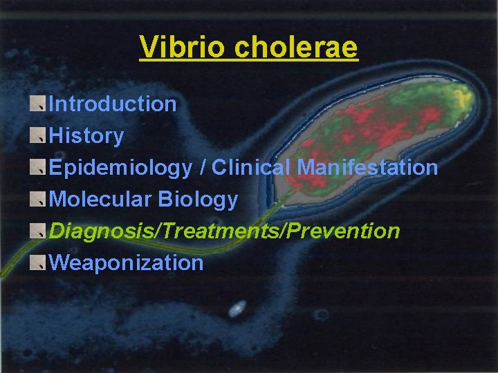 Vibrio cholerae Introduction History Epidemiology / Clinical Manifestation Molecular Biology Diagnosis/Treatments/Prevention Weaponization 