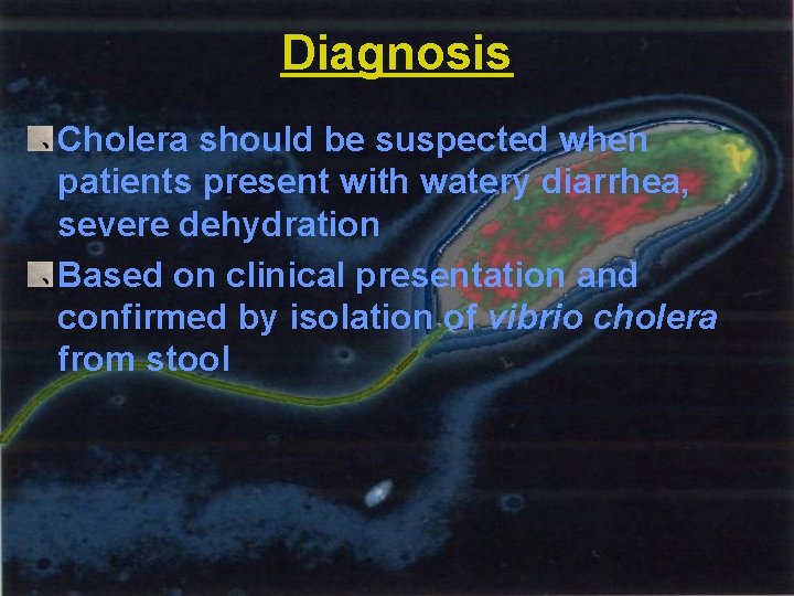 Diagnosis Cholera should be suspected when patients present with watery diarrhea, severe dehydration Based