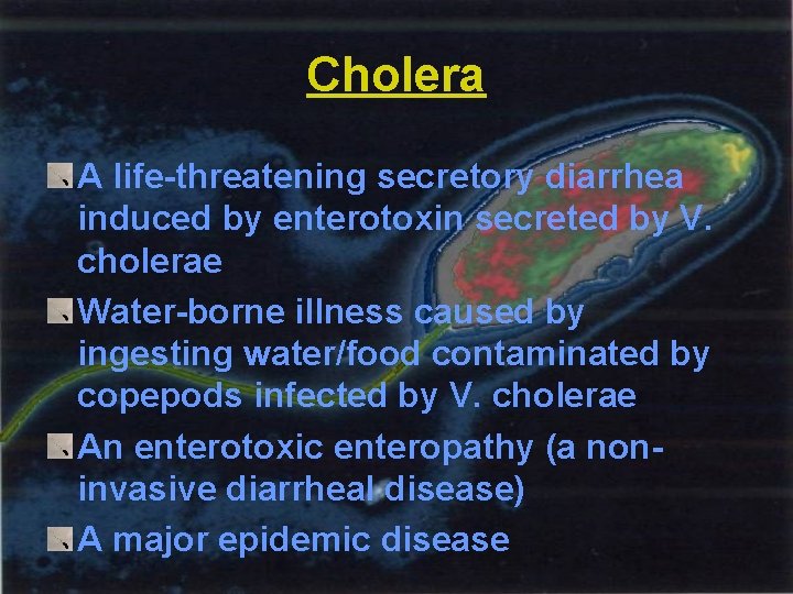 Cholera A life-threatening secretory diarrhea induced by enterotoxin secreted by V. cholerae Water-borne illness