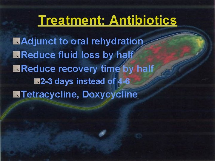 Treatment: Antibiotics Adjunct to oral rehydration Reduce fluid loss by half Reduce recovery time