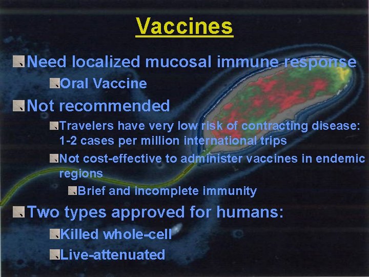 Vaccines Need localized mucosal immune response Oral Vaccine Not recommended Travelers have very low