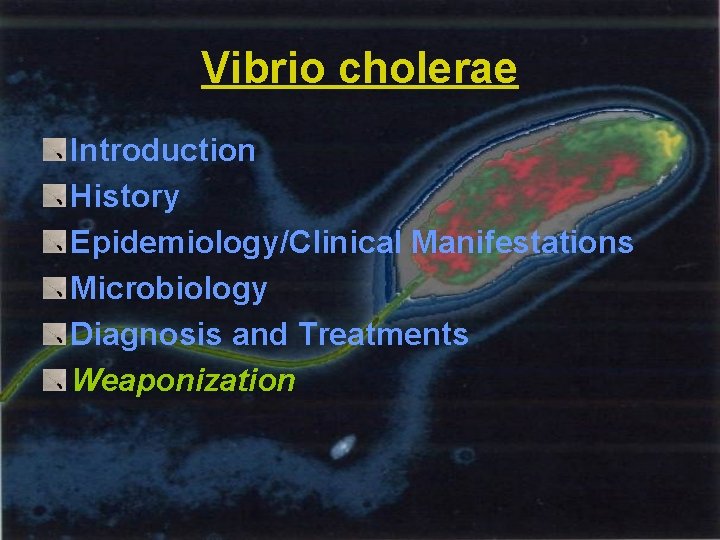 Vibrio cholerae Introduction History Epidemiology/Clinical Manifestations Microbiology Diagnosis and Treatments Weaponization 