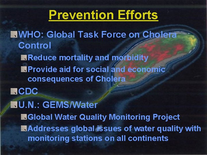 Prevention Efforts WHO: Global Task Force on Cholera Control Reduce mortality and morbidity Provide