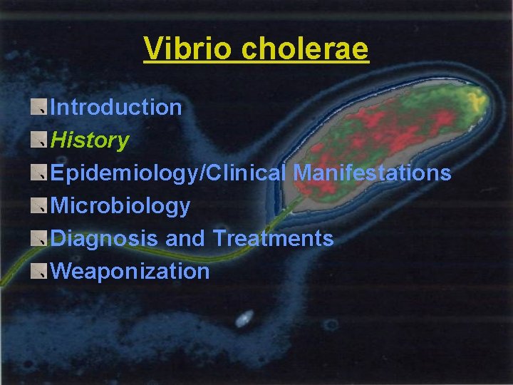 Vibrio cholerae Introduction History Epidemiology/Clinical Manifestations Microbiology Diagnosis and Treatments Weaponization 