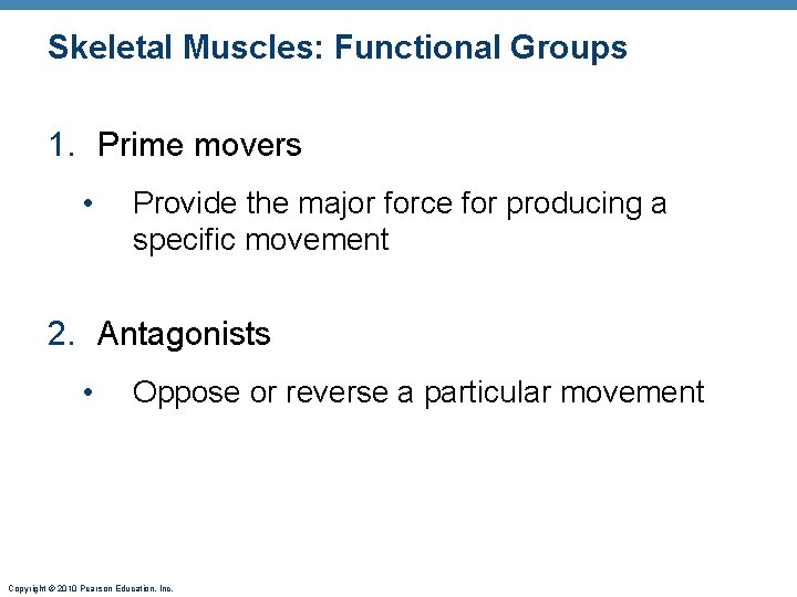 Skeletal Muscles: Functional Groups 1. Prime movers • Provide the major force for producing