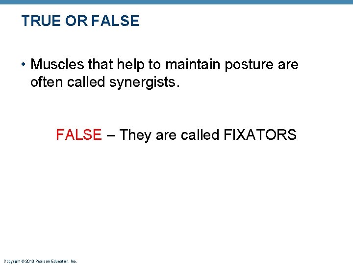 TRUE OR FALSE • Muscles that help to maintain posture are often called synergists.