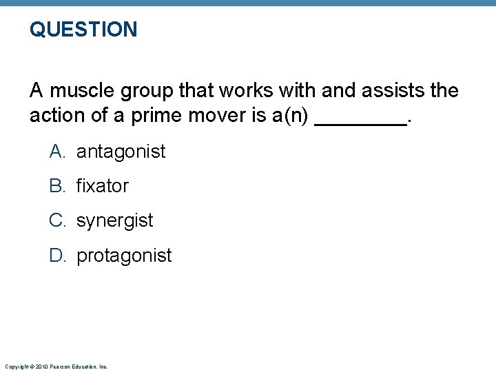 QUESTION A muscle group that works with and assists the action of a prime