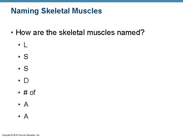 Naming Skeletal Muscles • How are the skeletal muscles named? • L • S