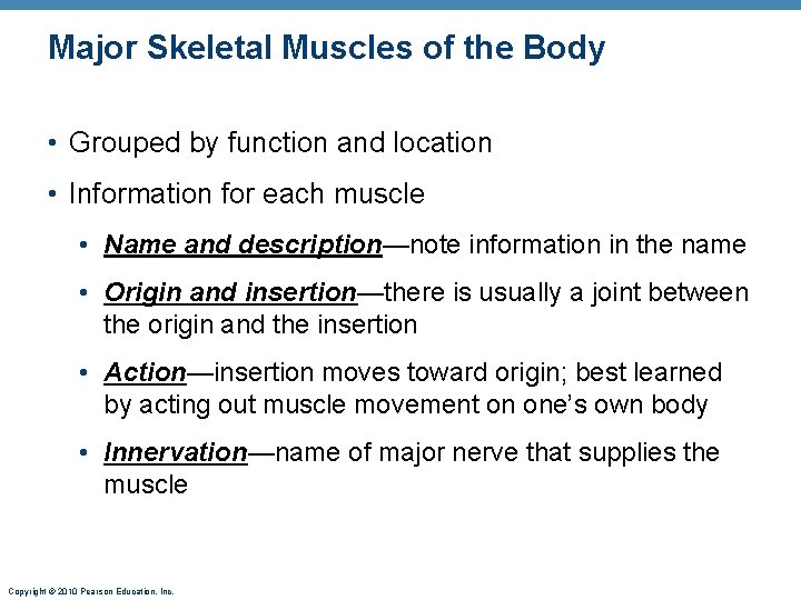 Major Skeletal Muscles of the Body • Grouped by function and location • Information