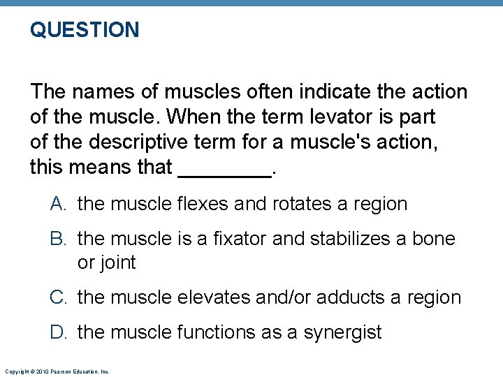 QUESTION The names of muscles often indicate the action of the muscle. When the