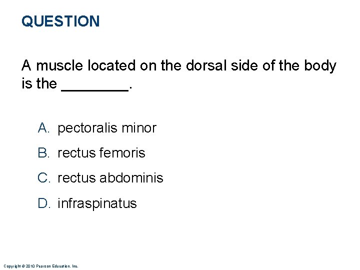 QUESTION A muscle located on the dorsal side of the body is the ____.