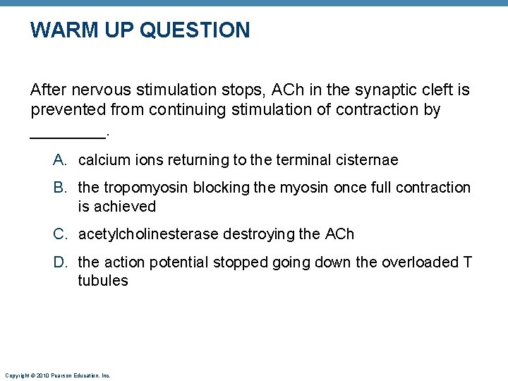 WARM UP QUESTION After nervous stimulation stops, ACh in the synaptic cleft is prevented