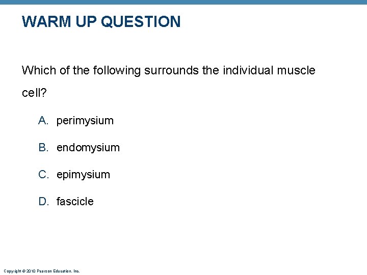 WARM UP QUESTION Which of the following surrounds the individual muscle cell? A. perimysium