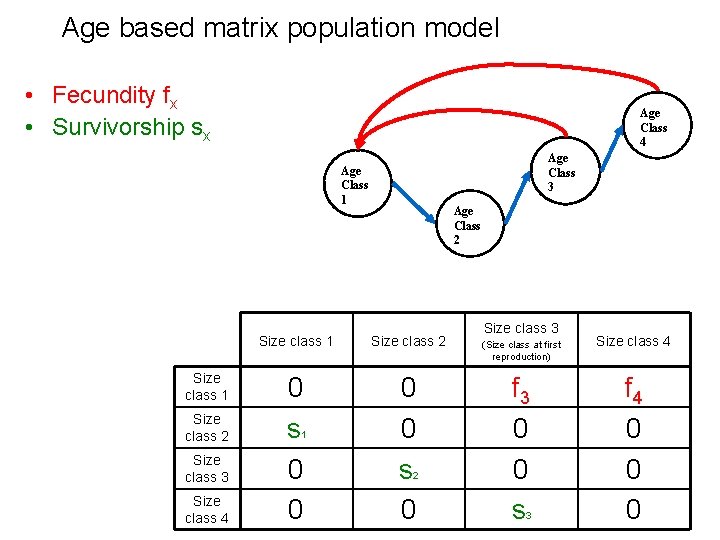 Age based matrix population model • Fecundity fx • Survivorship sx Age Class 4