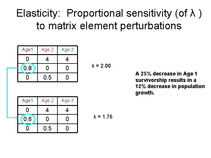 Elasticity: Proportional sensitivity (of λ ) to matrix element perturbations Age 1 Age 2