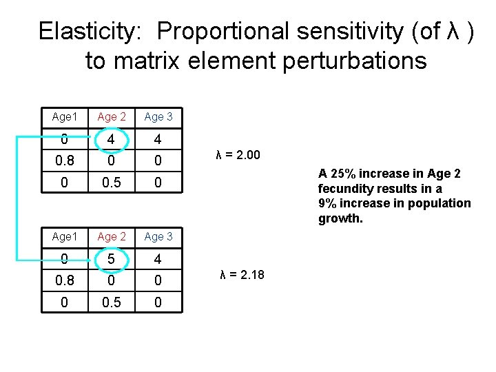 Elasticity: Proportional sensitivity (of λ ) to matrix element perturbations Age 1 Age 2