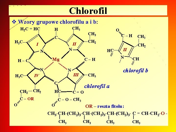 Chlorofil v Wzory grupowe chlorofilu a i b: N HC | N C–H |