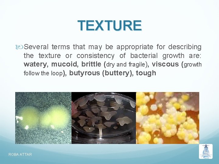 TEXTURE Several terms that may be appropriate for describing the texture or consistency of