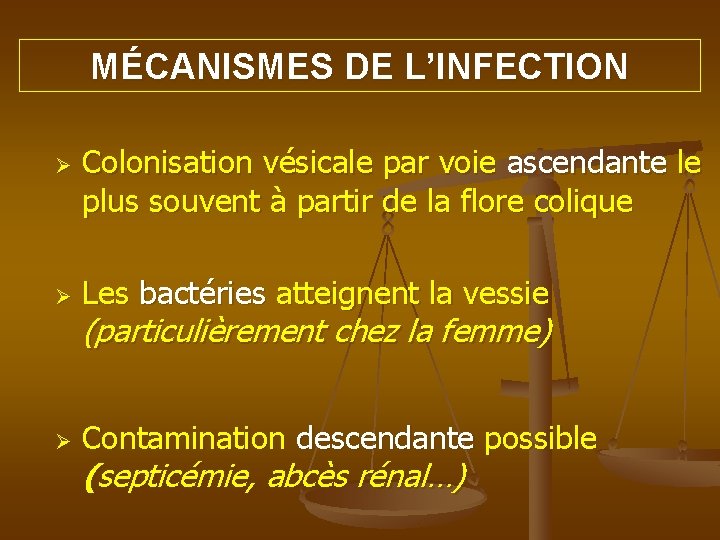 MÉCANISMES DE L’INFECTION Ø Colonisation vésicale par voie ascendante le plus souvent à partir