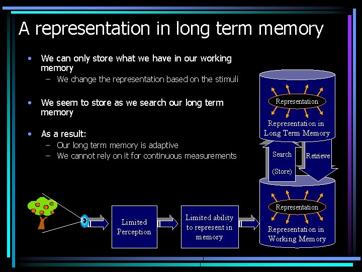 A representation in long term memory • We can only store what we have