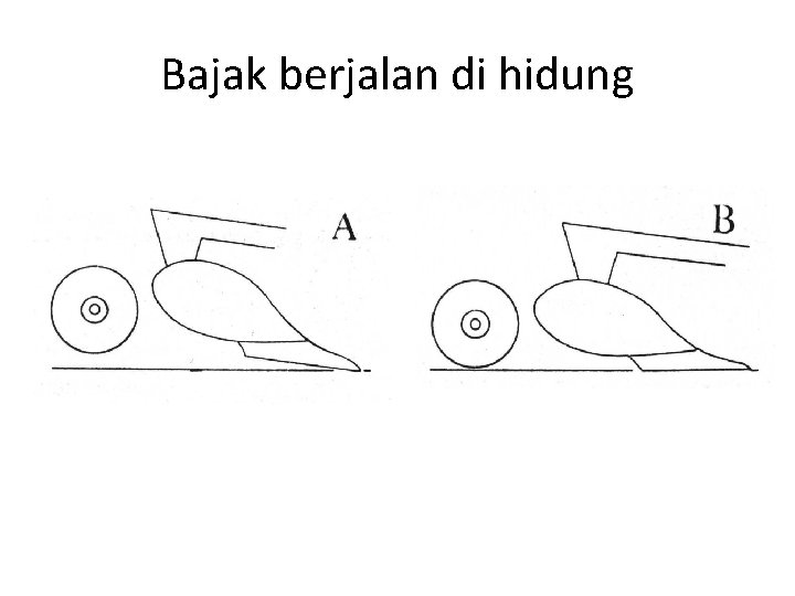 Bajak berjalan di hidung 