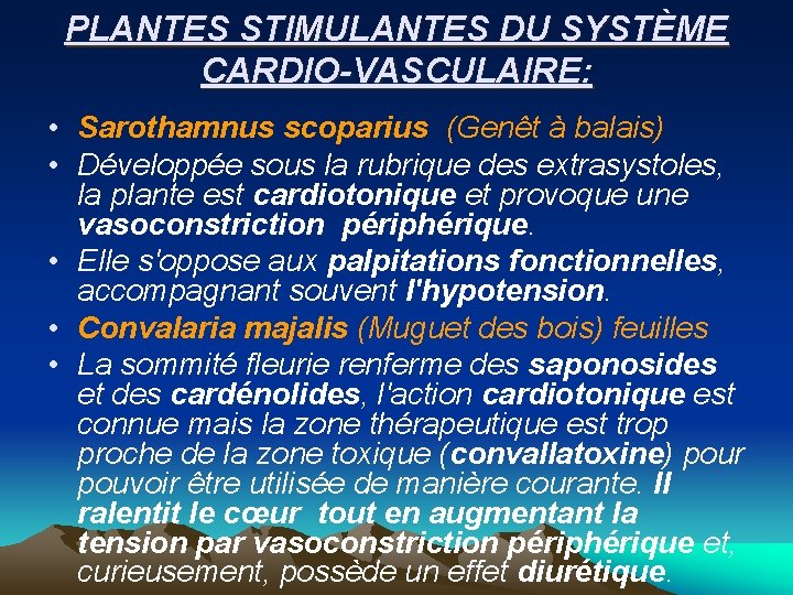 PLANTES STIMULANTES DU SYSTÈME CARDIO-VASCULAIRE: • Sarothamnus scoparius (Genêt à balais) • Développée sous