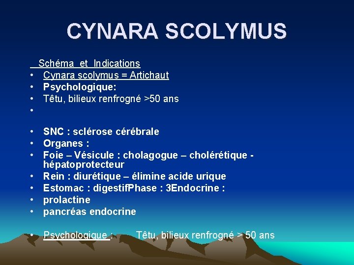 CYNARA SCOLYMUS Schéma et Indications • Cynara scolymus = Artichaut • Psychologique: • Têtu,