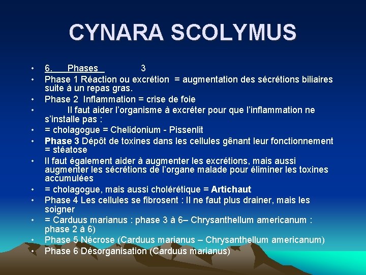 CYNARA SCOLYMUS • • • 6. Phases 3 Phase 1 Réaction ou excrétion =