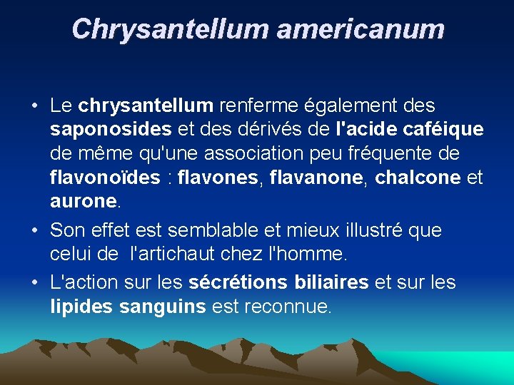 Chrysantellum americanum • Le chrysantellum renferme également des saponosides et des dérivés de l'acide