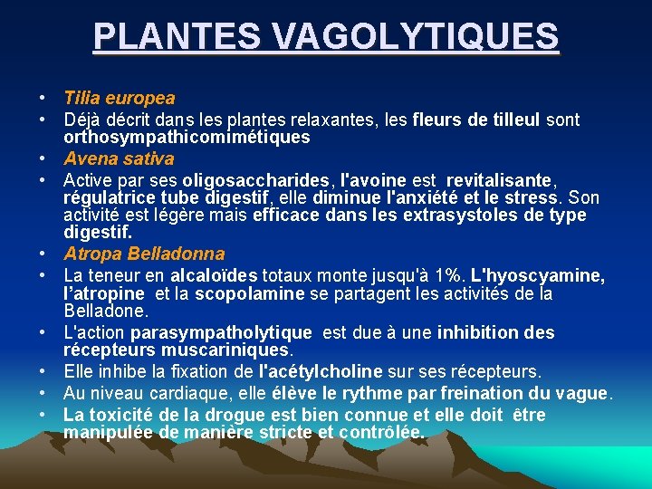 PLANTES VAGOLYTIQUES • • • Tilia europea Déjà décrit dans les plantes relaxantes, les