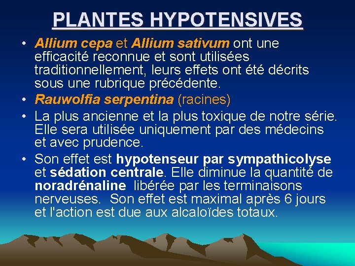 PLANTES HYPOTENSIVES • Allium cepa et Allium sativum ont une efficacité reconnue et sont