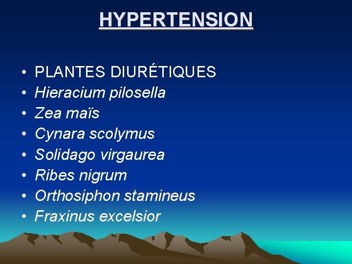 HYPERTENSION • • PLANTES DIURÉTIQUES Hieracium pilosella Zea maïs Cynara scolymus Solidago virgaurea Ribes