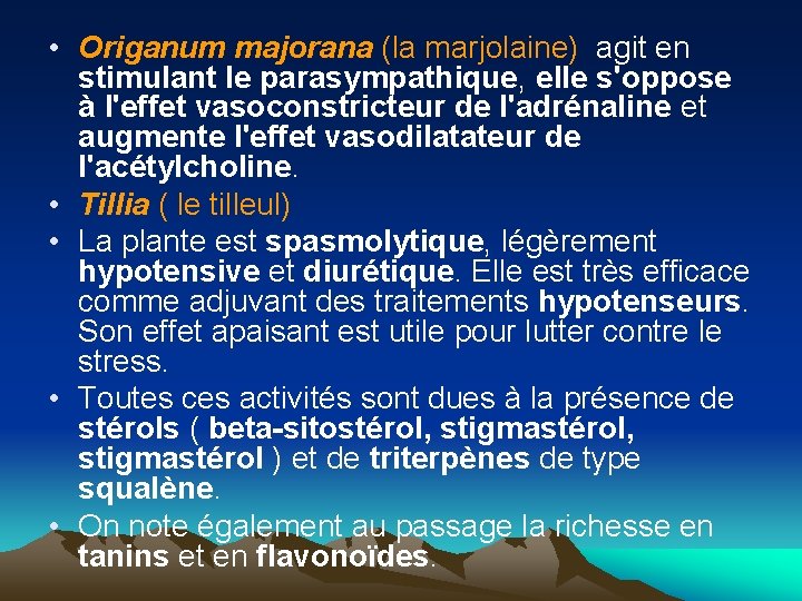  • Origanum majorana (la marjolaine) agit en stimulant le parasympathique, elle s'oppose à