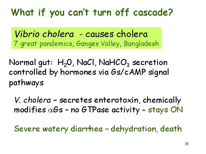 What if you can’t turn off cascade? Vibrio cholera - causes cholera 7 great