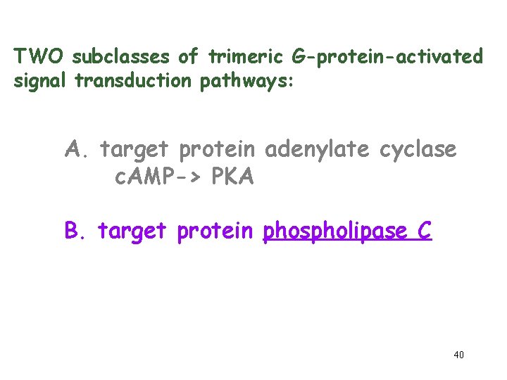 TWO subclasses of trimeric G-protein-activated signal transduction pathways: A. target protein adenylate cyclase c.