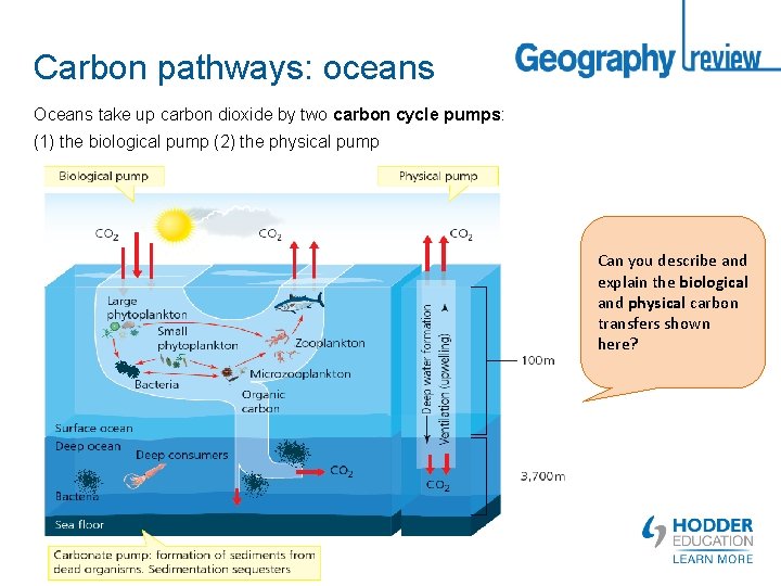 Carbon pathways: oceans Oceans take up carbon dioxide by two carbon cycle pumps: (1)