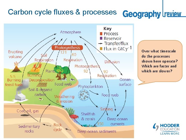 Carbon cycle fluxes & processes Over what timescale do the processes shown here operate?