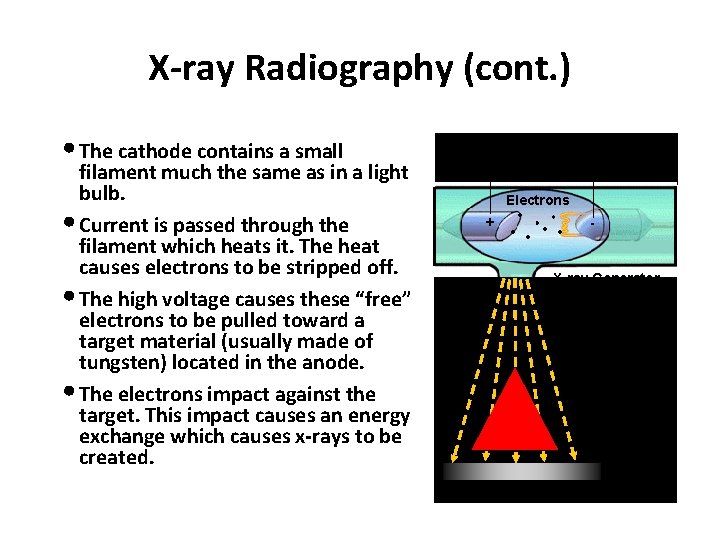 X-ray Radiography (cont. ) • The cathode contains a small filament much the same