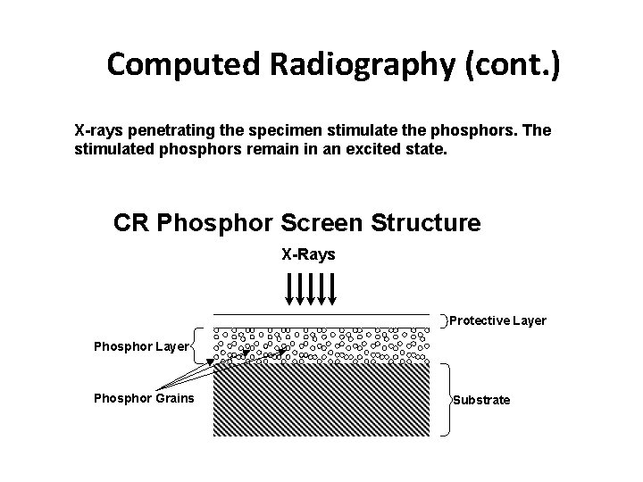 Computed Radiography (cont. ) X-rays penetrating the specimen stimulate the phosphors. The stimulated phosphors