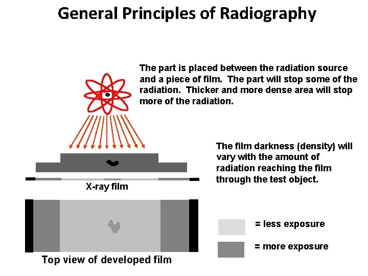 General Principles of Radiography The part is placed between the radiation source and a