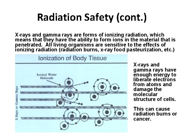 Radiation Safety (cont. ) X-rays and gamma rays are forms of ionizing radiation, which